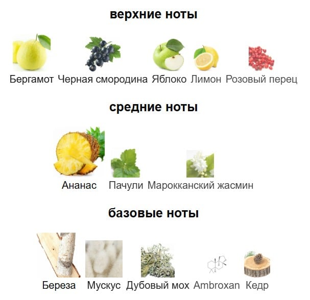 Creed Aventus hid piramidalari