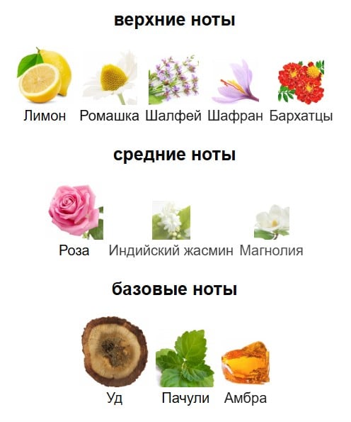 Blue Sapphire Boadicea the Victorious пирамида аромата