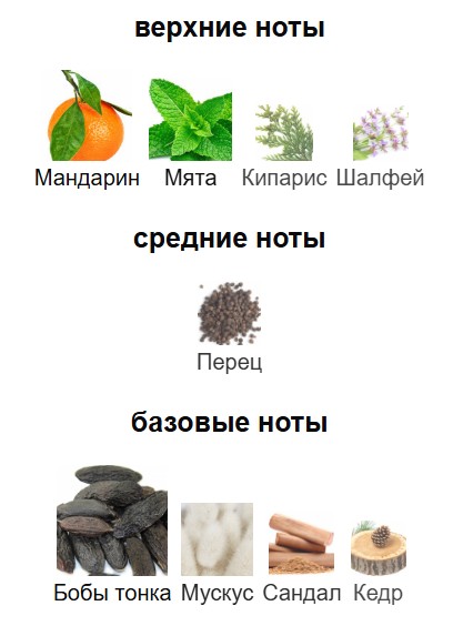 Chanel Allure Homme Sport Eau Extreme piramidasi