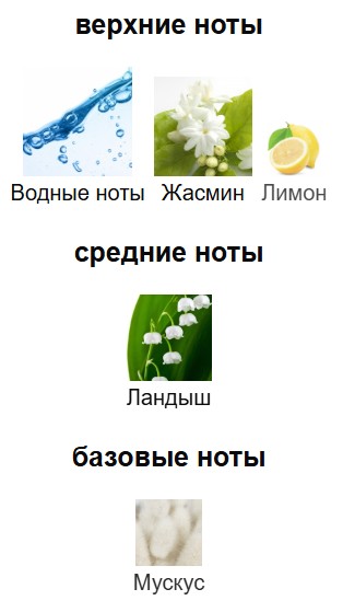 Acqua Roberto Cavalli пирамида ароватов