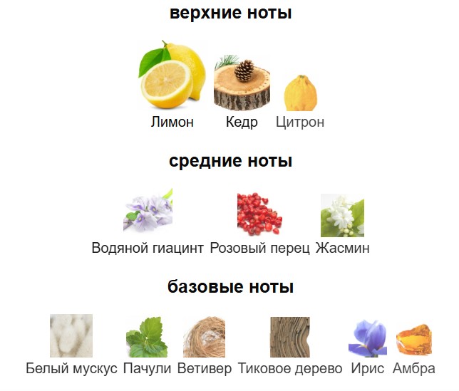 Chanel Chance Eau Fraîche piramidasi